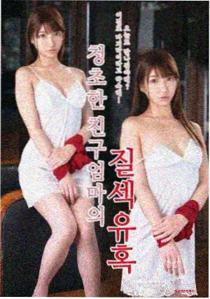 城市观测者 电视动画封面